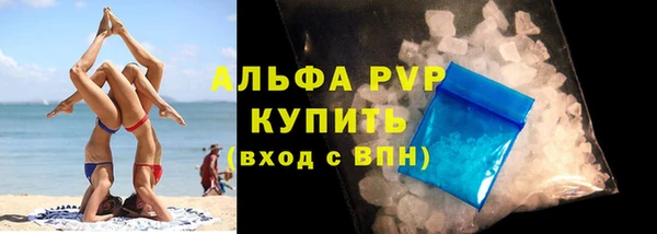 стаф Беломорск