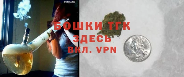 индика Богородицк