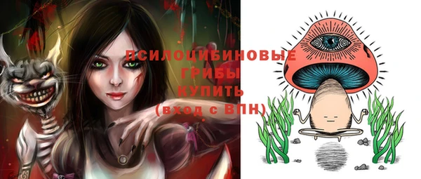 стаф Беломорск