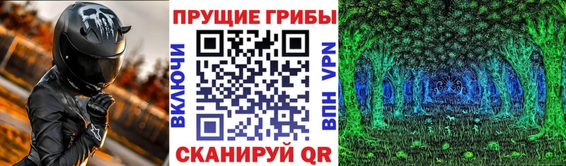 Галлюциногенные грибы Psilocybe Балахна